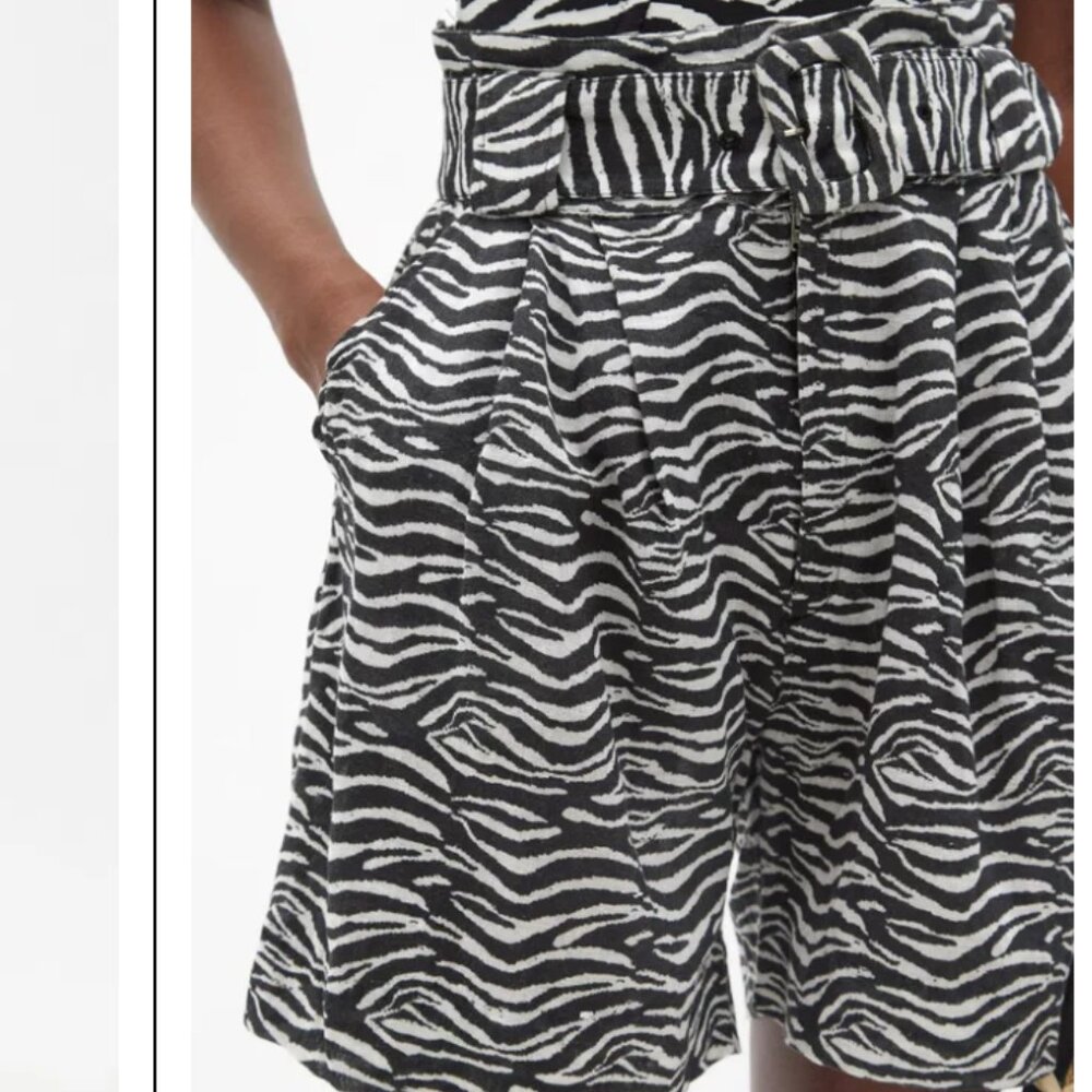 Solid And Striped Zebra Print Shorts With Belt - image 6